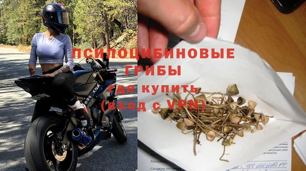 jwh Богородицк